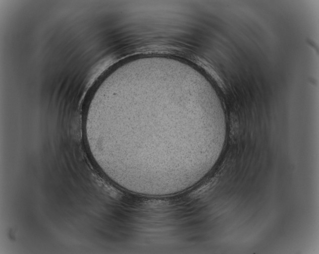 X0000091701075200709210917