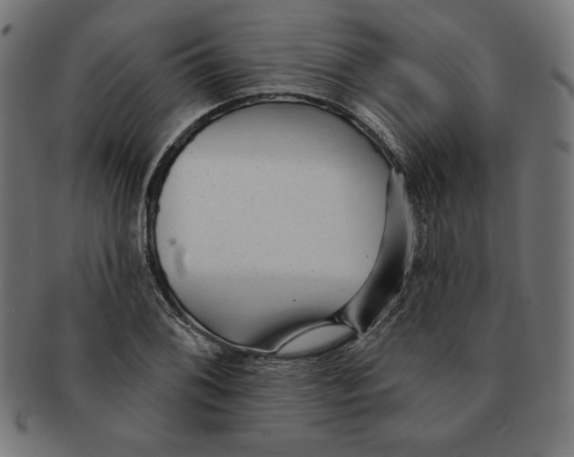 X0000091701076200709210917