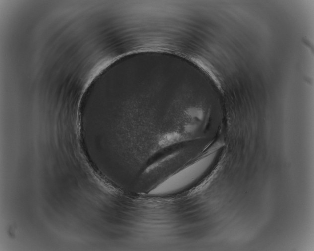 X0000091701077200709210917