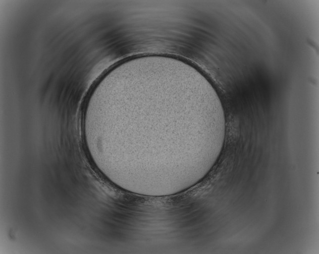 X0000091701078200709210917