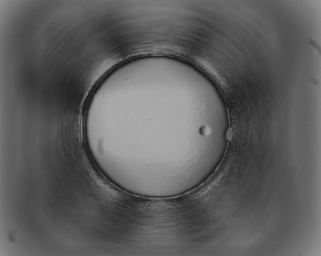 X0000091701079200709210917