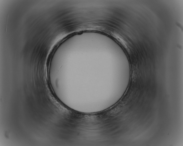 X0000091701080200709210917