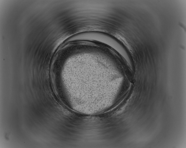 X0000091701081200709210917