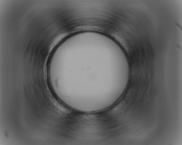 X0000091701082200709210917