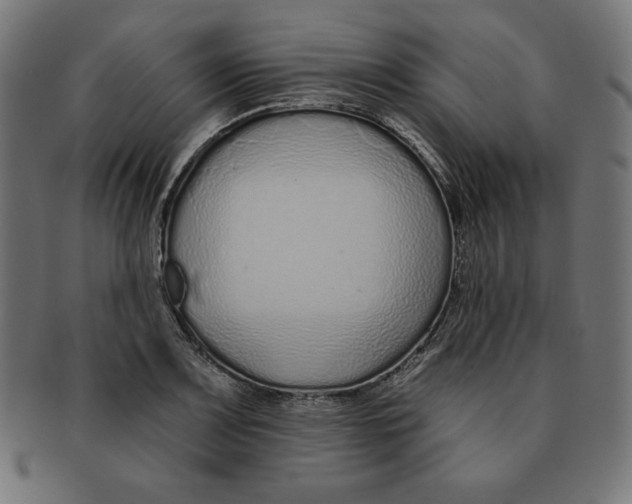 X0000091701083200709210917