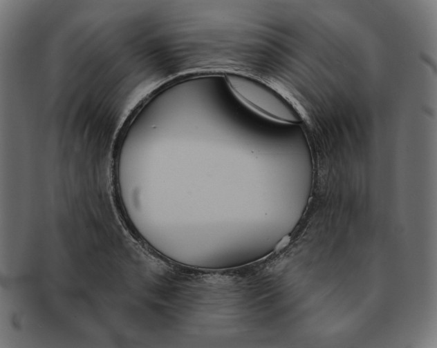 X0000091701085200709210917