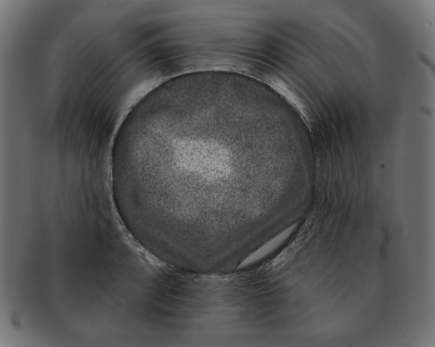 X0000091701088200709210917