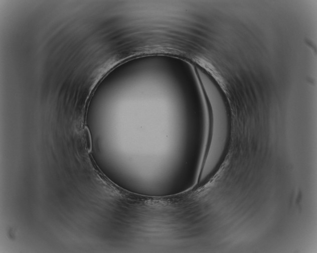 X0000091701089200709210917