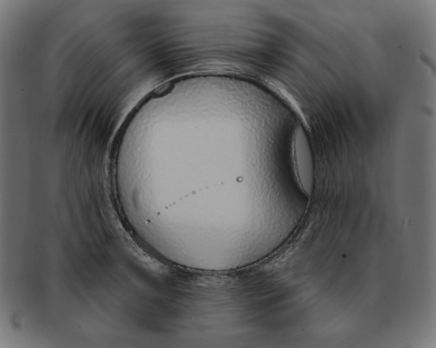 X0000091701091200709210917