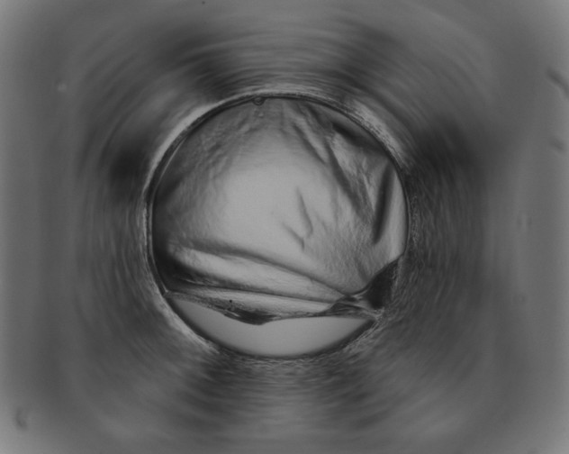 X0000091701092200709210917