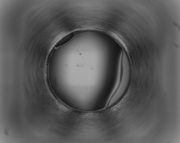 X0000091701093200709210917