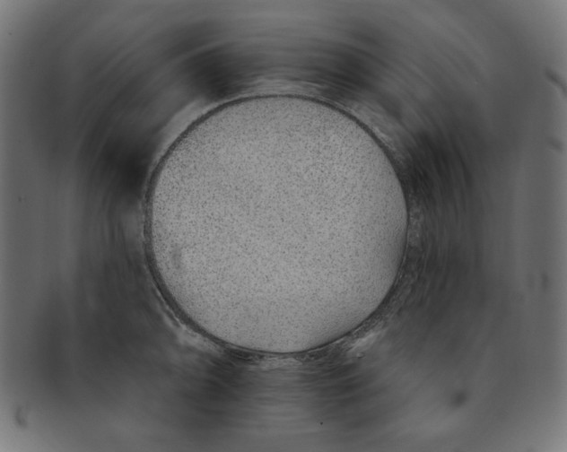 X0000091701094200709210917