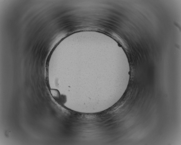 X0000091701095200709210917