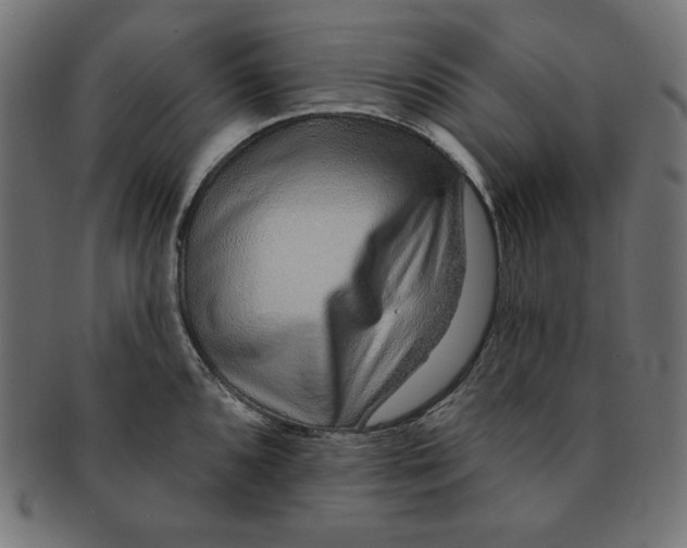 X0000091701096200709210917