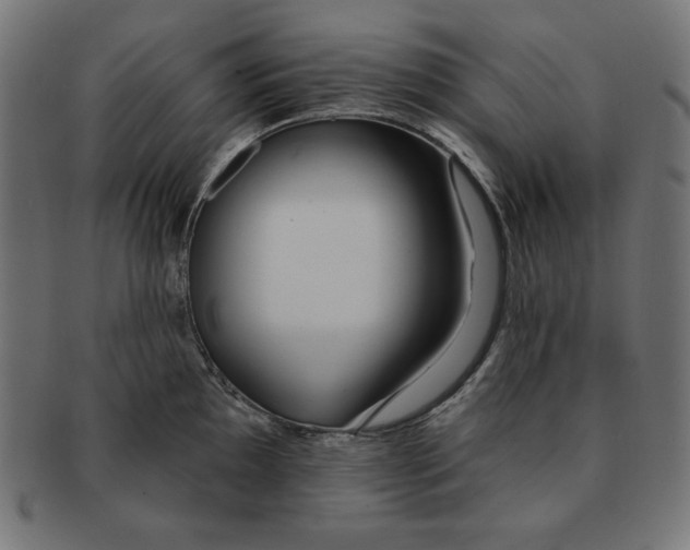 X0000091701097200709210917