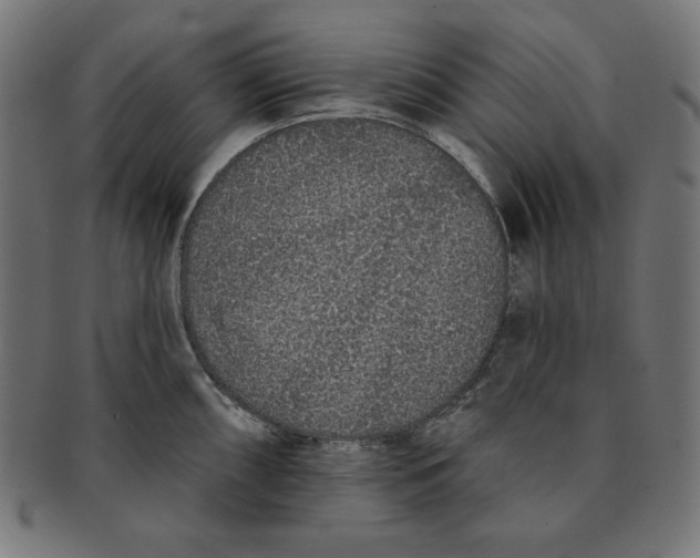 X0000091701098200709210917