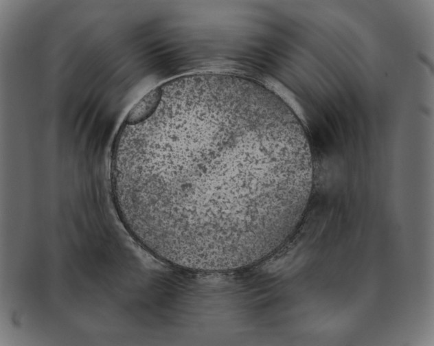 X0000091701099200709210917