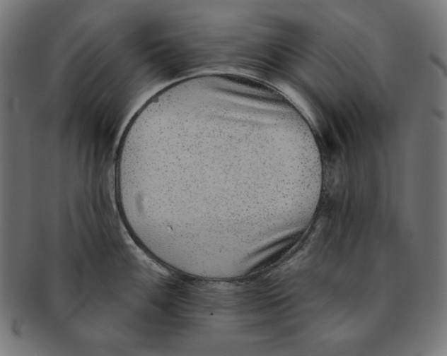 X0000091701100200709210917