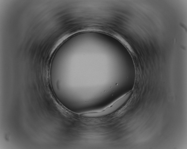 X0000091701101200709210917