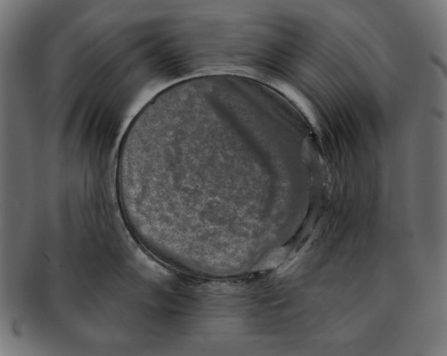 X0000091701102200709210917