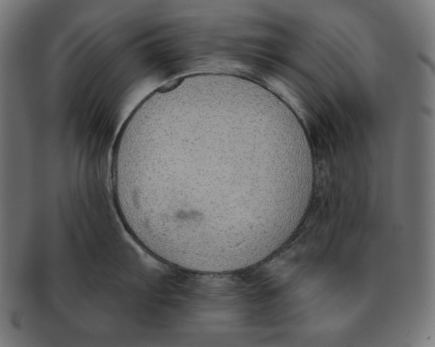 X0000091701103200709210917