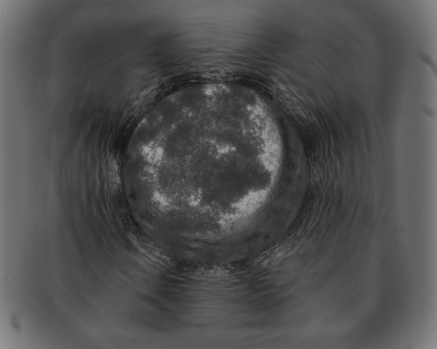 X0000091701106200709210916