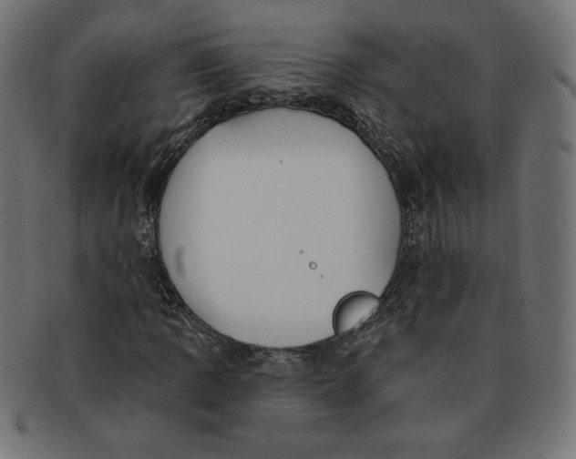 X0000091701109200709210916