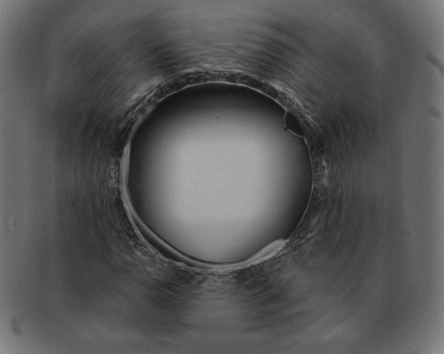 X0000091701110200709210916