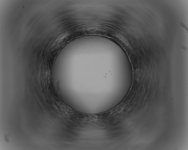 X0000091701111200709210916