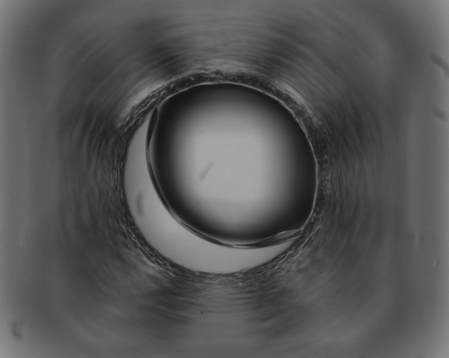 X0000091701112200709210916