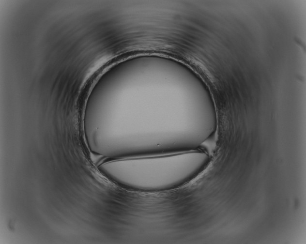 X0000091701114200709210916