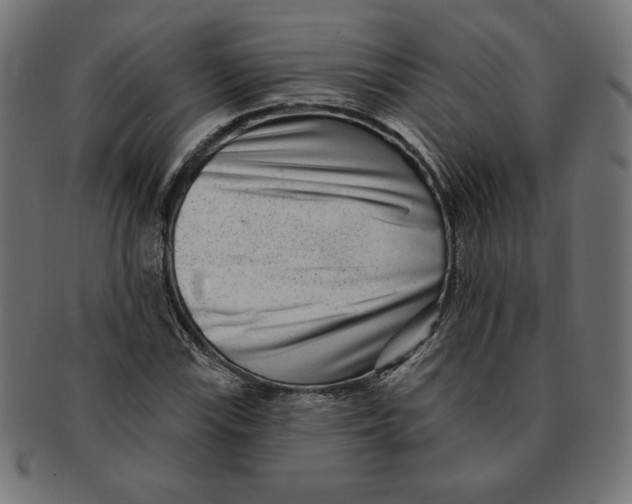 X0000091701115200709210916