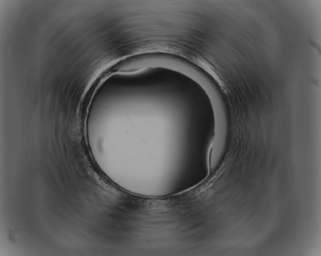 X0000091701116200709210916