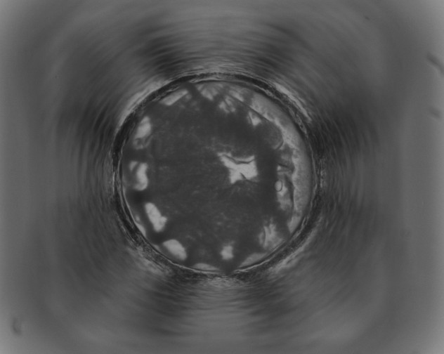 X0000091701117200709210916