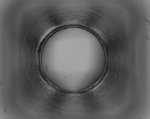 X0000091701118200709210916