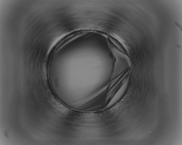 X0000091701120200709210917