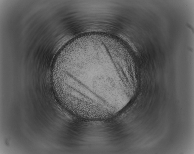 X0000091701121200709210917