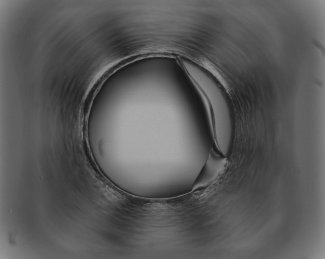 X0000091701124200709210917