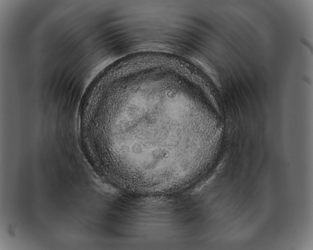 X0000091701125200709210917