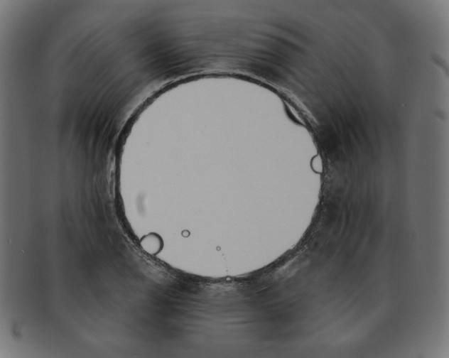 X0000091701126200709210917