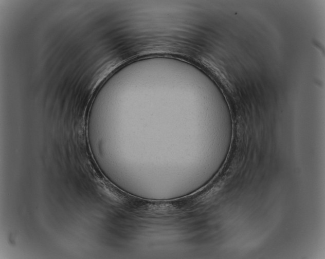 X0000091701129200709210917