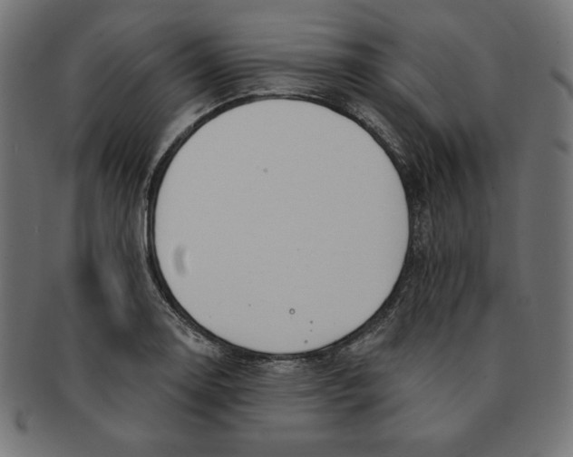 X0000091701130200709210917