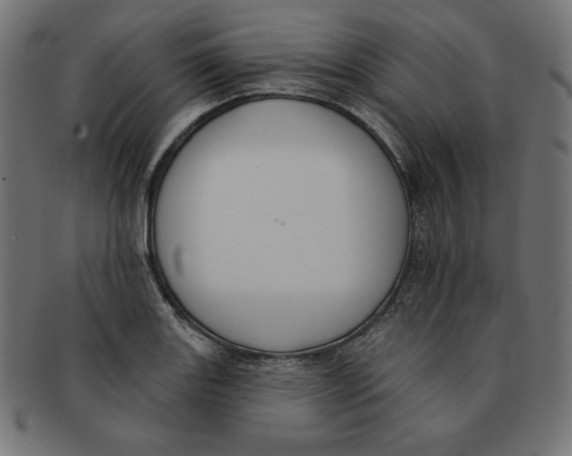 X0000091701131200709210917