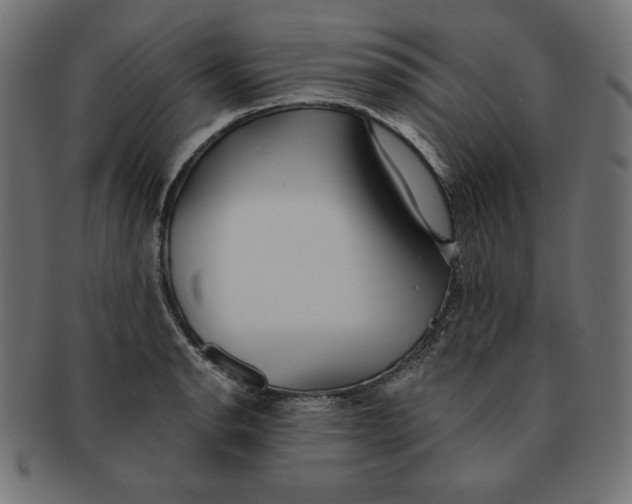 X0000091701134200709210917