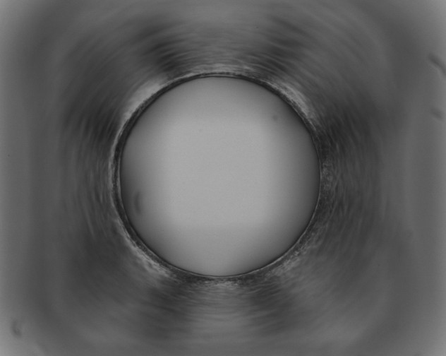 X0000091701135200709210917