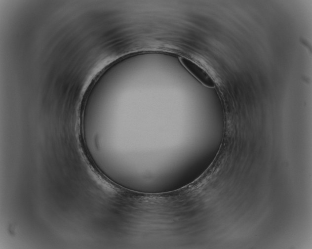 X0000091701136200709210917