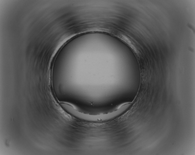 X0000091701140200709210917