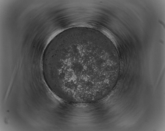 X0000091701141200709210917