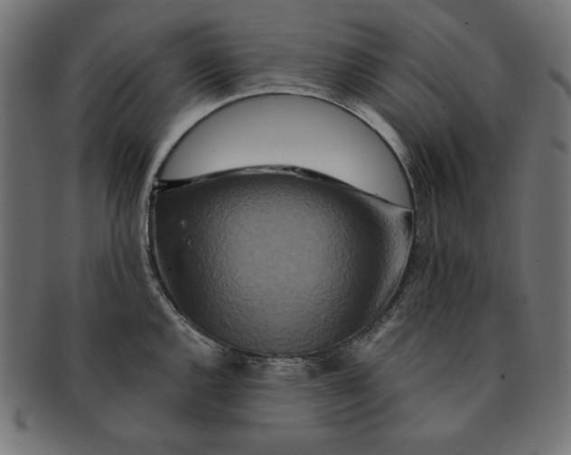 X0000091701144200709210917