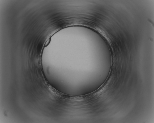 X0000091701145200709210917